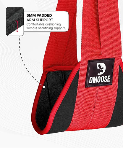 DMoose Fitness Hanging Ab Straps for Pull Up Bar & Core Strength Training - Soft Padded Exercise Straps for Ab Swing & Leg Raises, Hang Bar Strap with 2 Steel Carabiners - Abs Equipment for Home & Gym