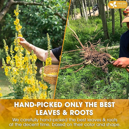 FreshDrinkUS, Premium 75 Mullein Licorice Tea Bags, 100% Natural, Blend of Mullein Leaves, and Licorice Root. Made with Natural Material Tea Bags. No Sugar, Vegan.