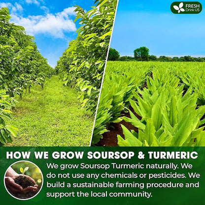 FreshDrinkUS, Premium 40 Soursop Turmeric Tea Bags, 100% Natural, Blend of Soursop Leaves, and Turmeric Root. Made with Natural Material Tea Bags. No Sugar, Vegan.