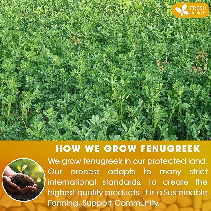 FreshDrinkUS, Premium 15 Tea Bags Fenugreek, 100% Natural & Pure from Fenugreek. Fenugreek Herbal Tea. Made with Natural Material Tea Bags. No Sugar, No Caffeine, No Gluten, Vegan.