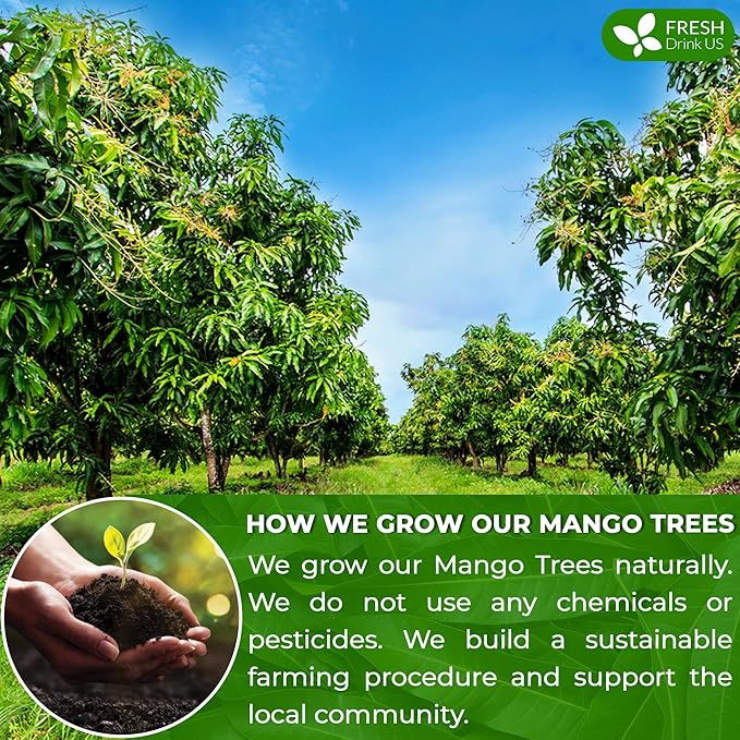 FreshDrinkUS Premium 60 Mango Leaf Tea Bags, 100% Natural & Pure. Loose Leaf Herbal Tea. No Sugar, No Caffeine, No Gluten, Vegan