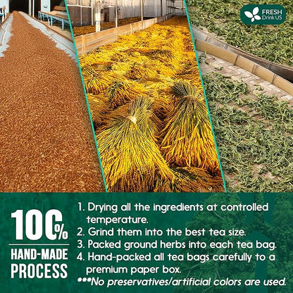 FreshDrinkUS StrongerLungs 20 Tea Bags - Mullein Leaf, Ginseng, Elderberry, Ginger & Thyme - Supports Lung Cleanse, Congestion Relief & Mucus Detox - Caffeine-Free & All-Natural