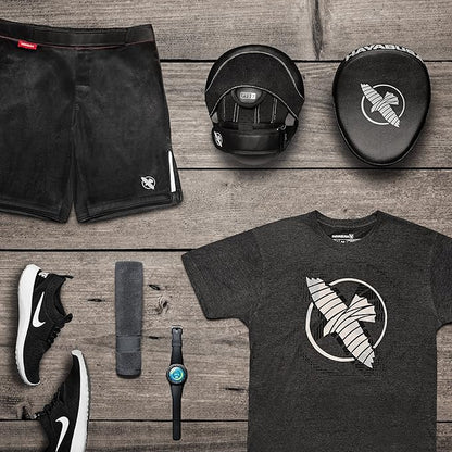 Hayabusa PTS 3 Focus Mitts Pair - Black, Micro