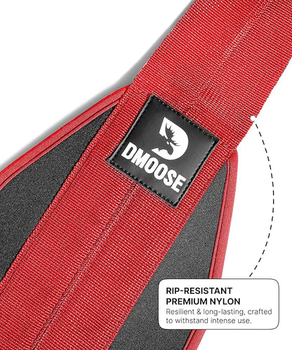 DMoose Fitness Hanging Ab Straps for Pull Up Bar & Core Strength Training - Soft Padded Exercise Straps for Ab Swing & Leg Raises, Hang Bar Strap with 2 Steel Carabiners - Abs Equipment for Home & Gym